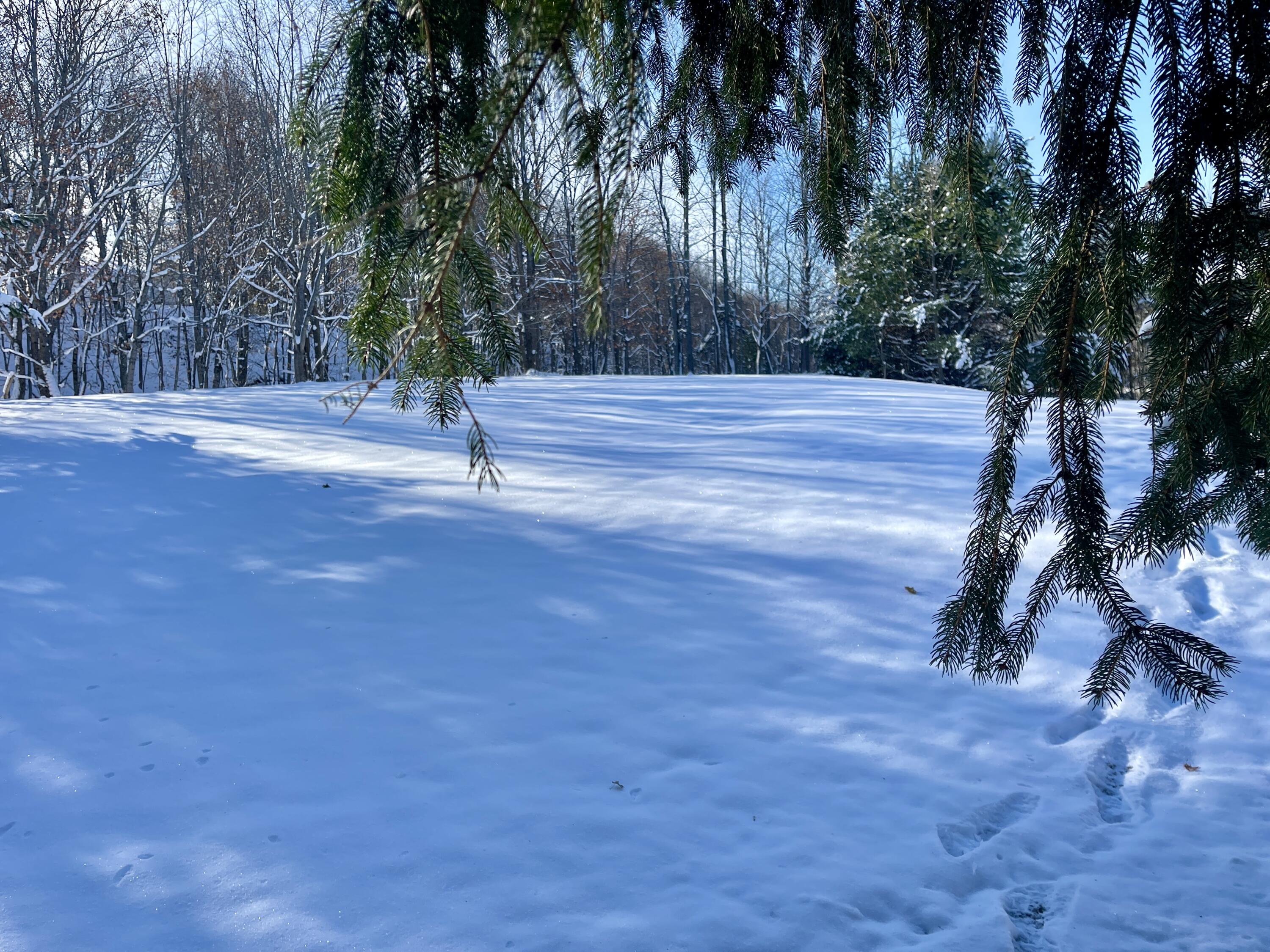 15 Whitney Street Calais ME 04619