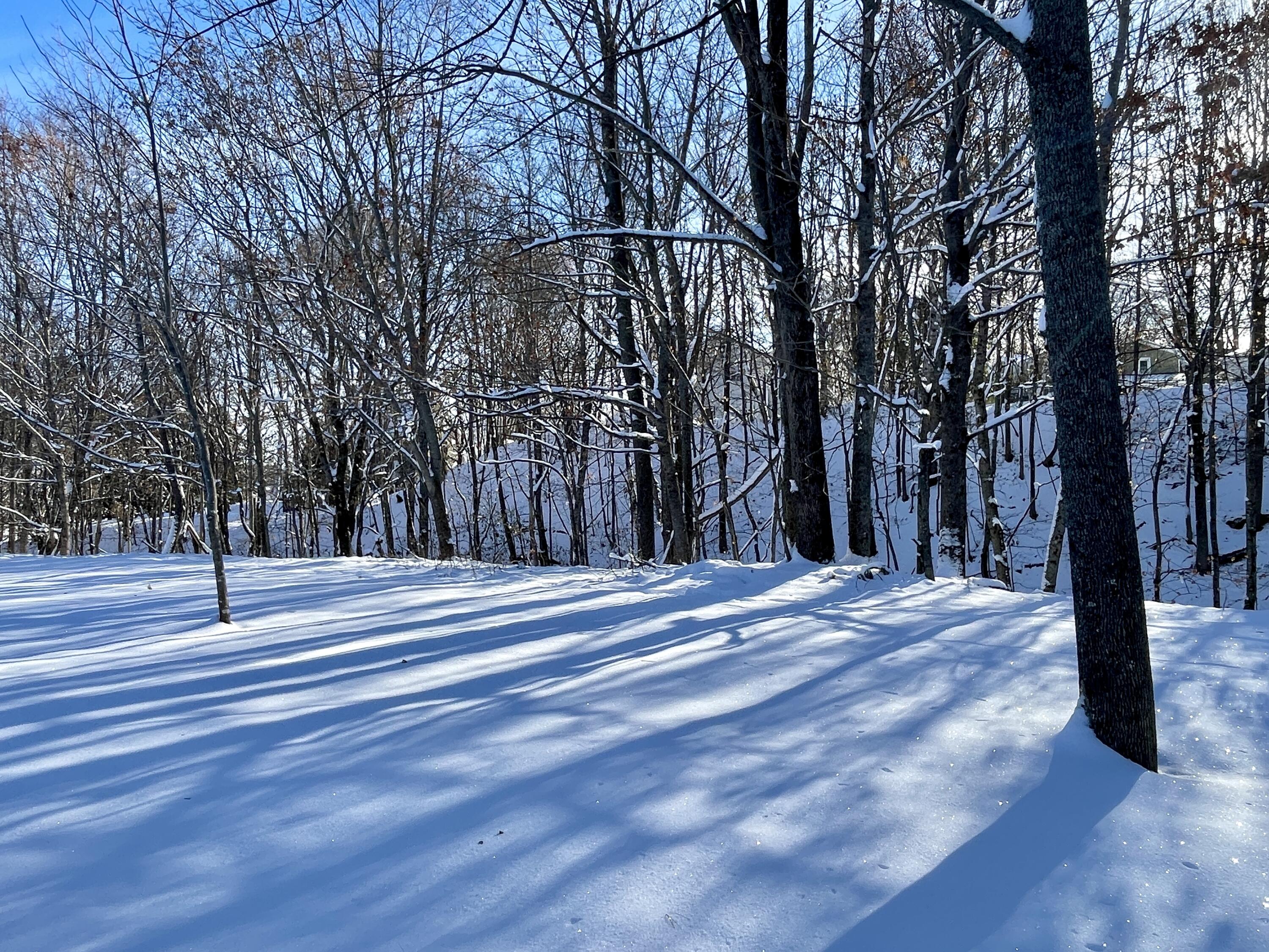 15 Whitney Street Calais ME 04619