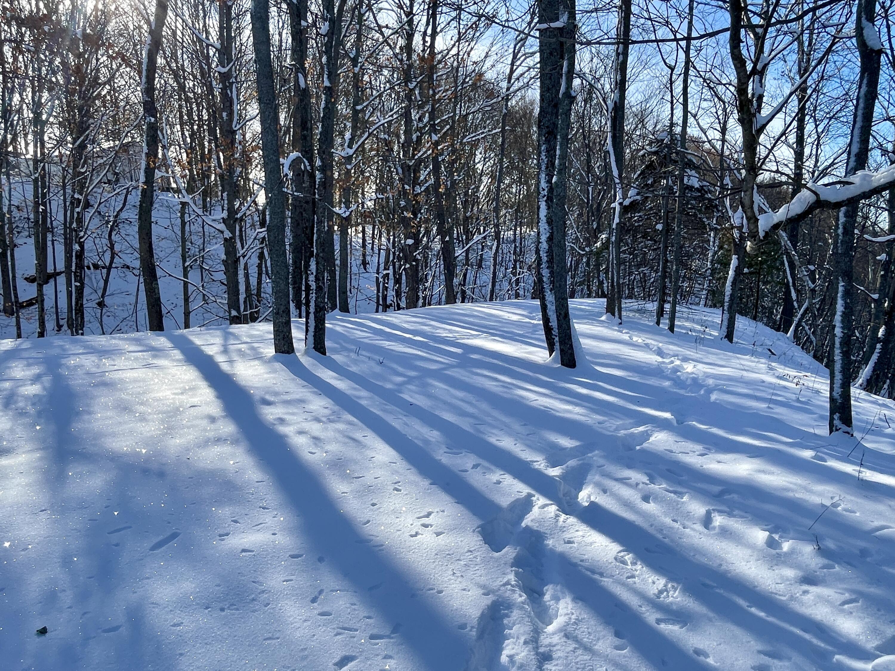 15 Whitney Street Calais ME 04619