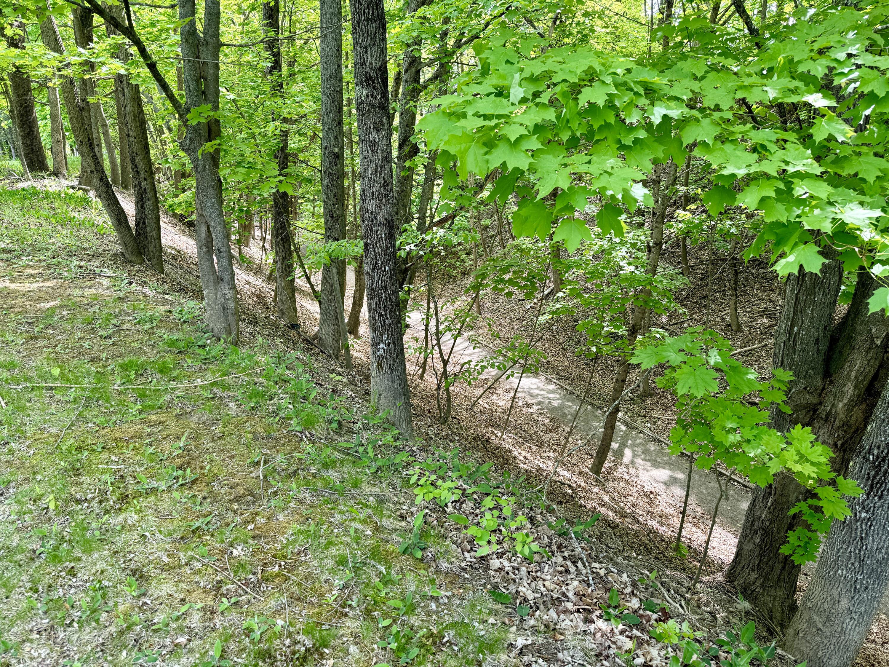 15 Whitney Street Calais ME 04619