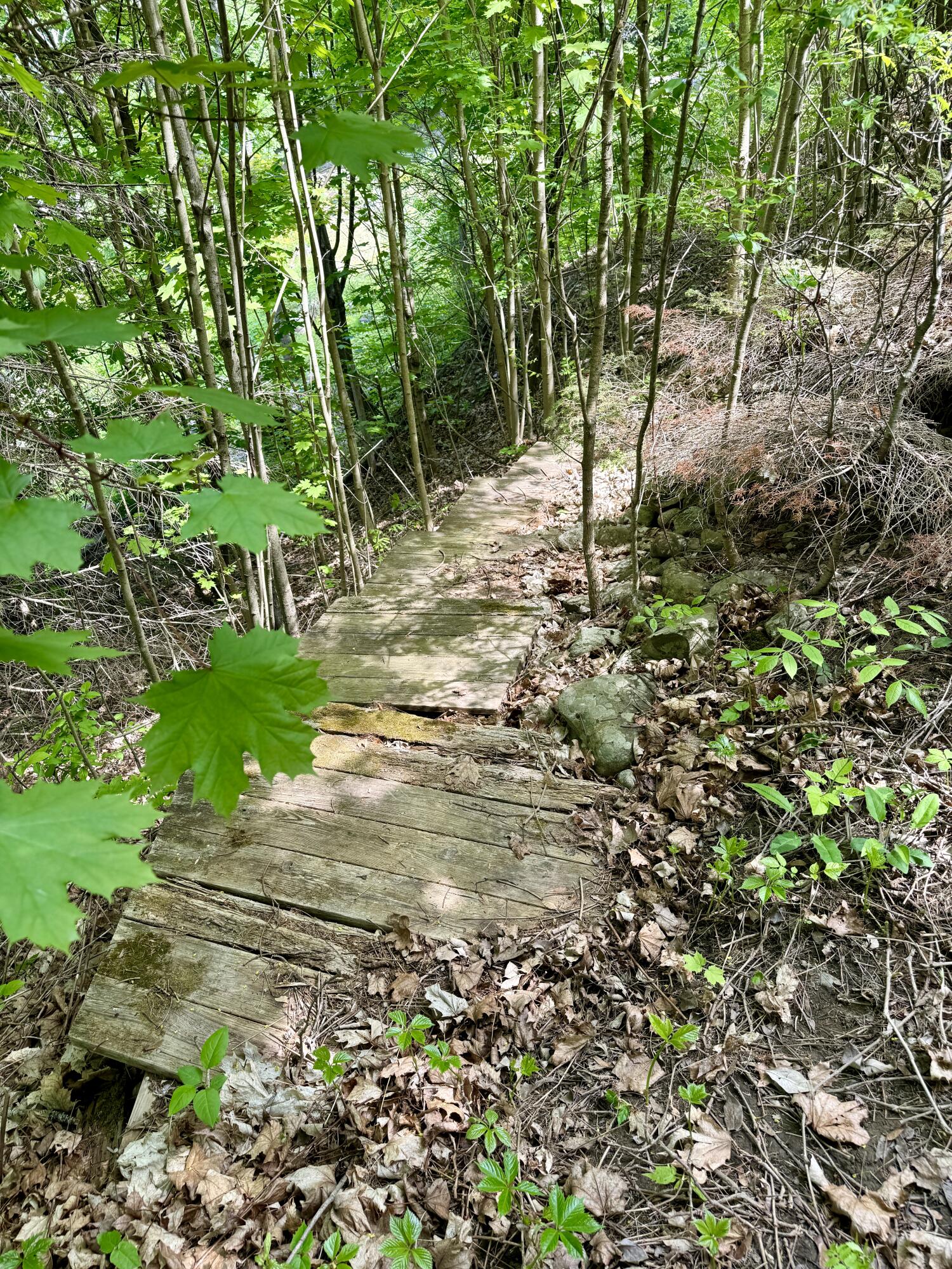 15 Whitney Street Calais ME 04619