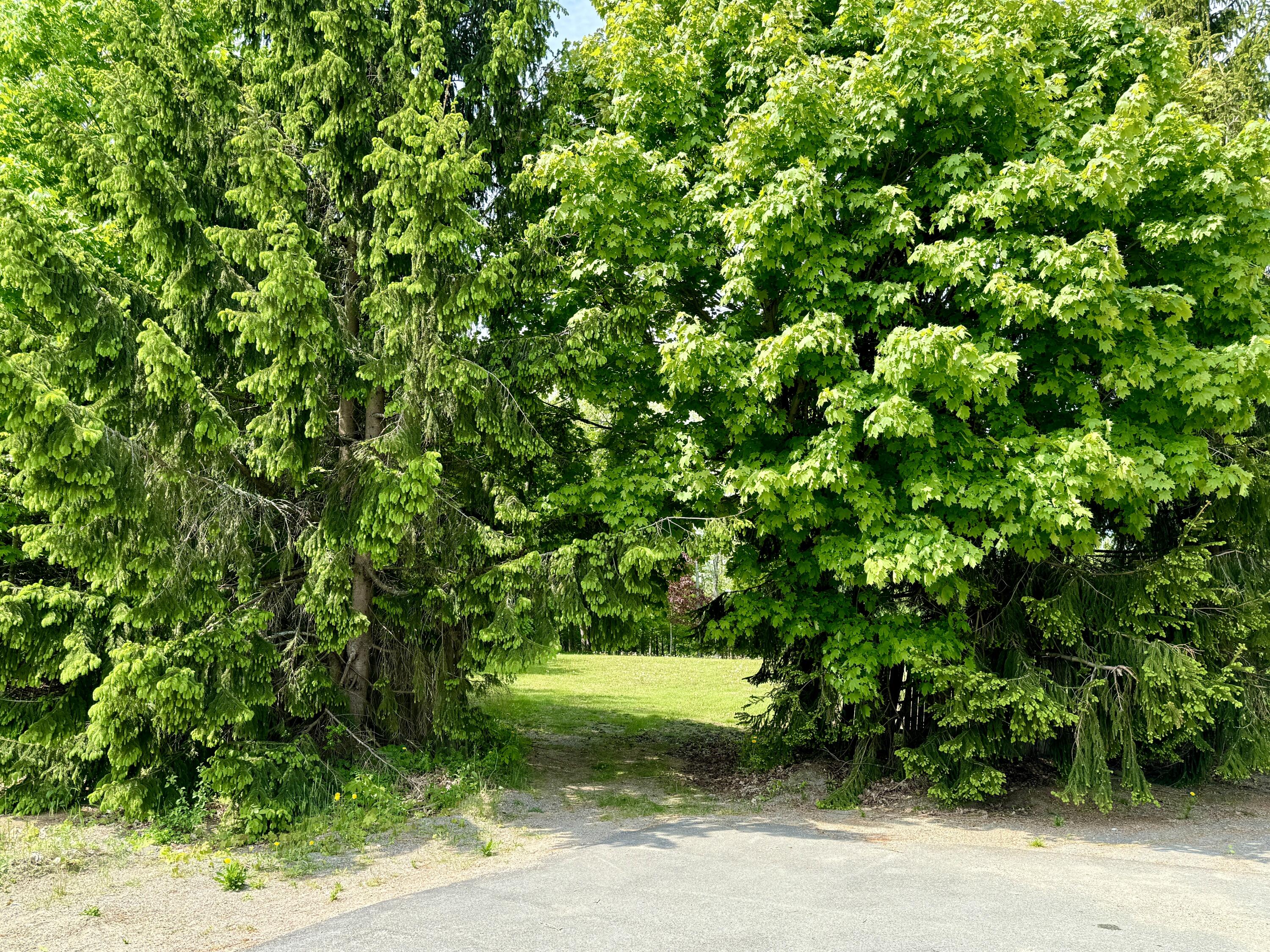 15 Whitney Street Calais ME 04619