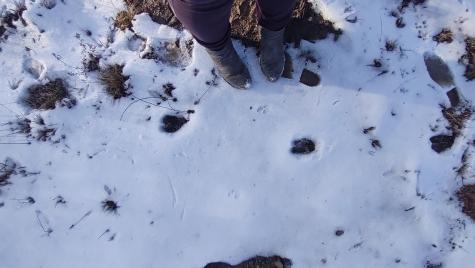 Lot 42c Baldwin Hill Road Fayette ME 04349