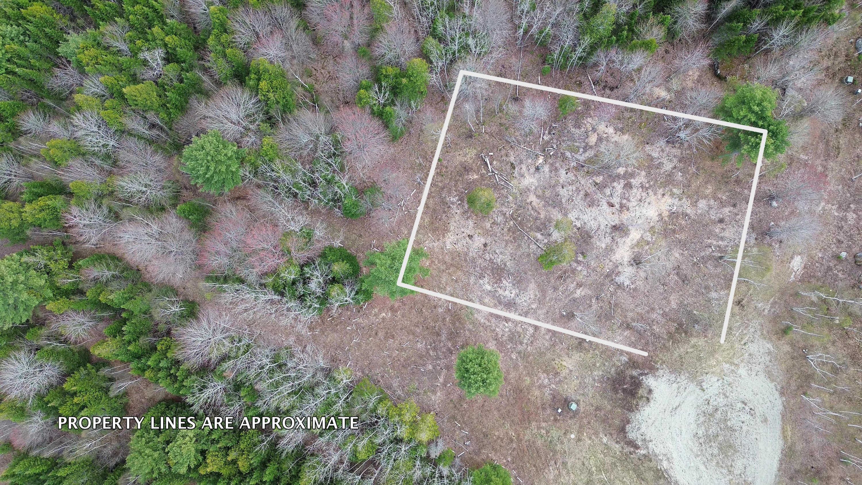 Lot 17 Bailey Mountain Road Franklin ME 04634