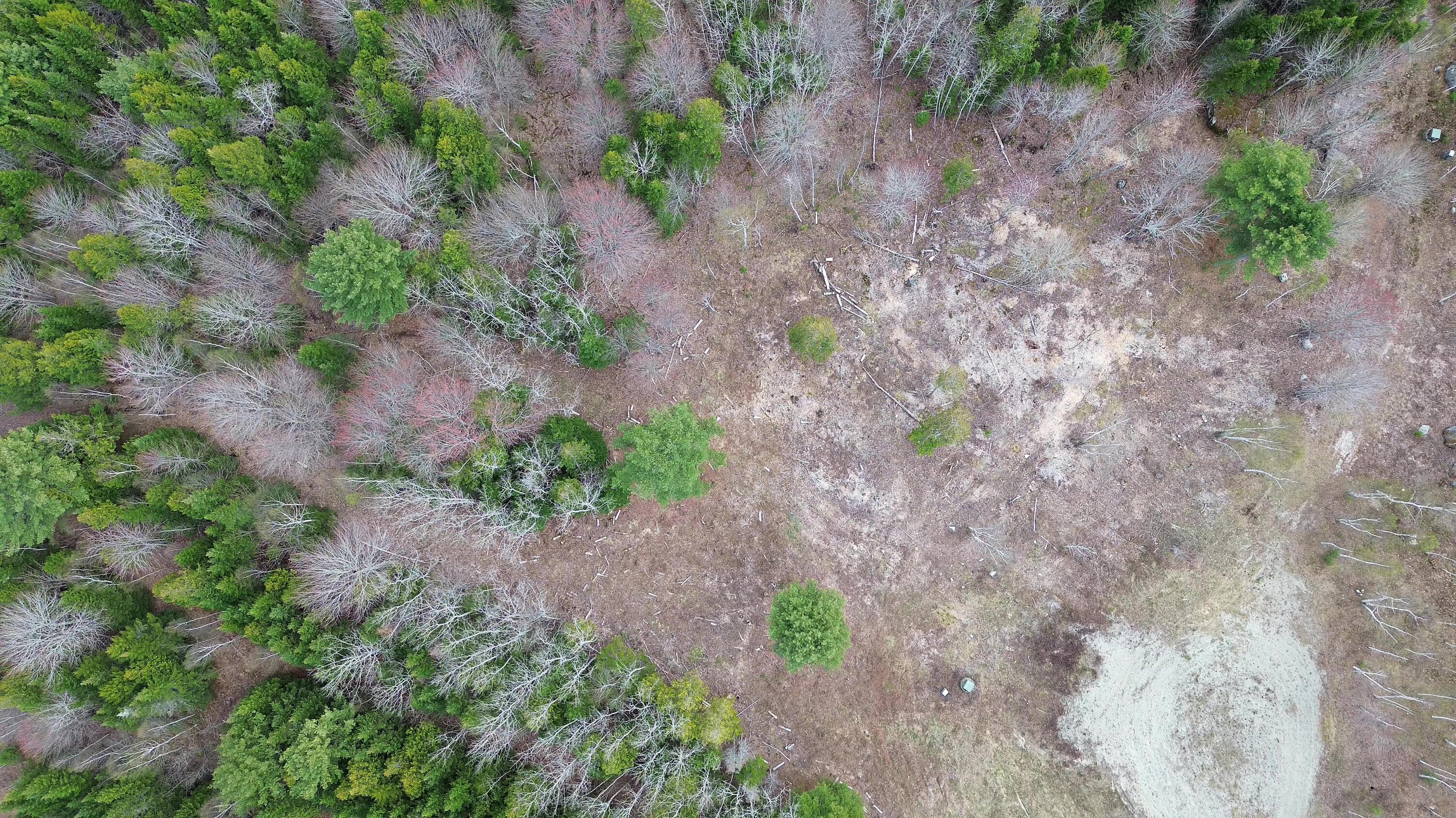 Lot 17 Bailey Mountain Road Franklin ME 04634
