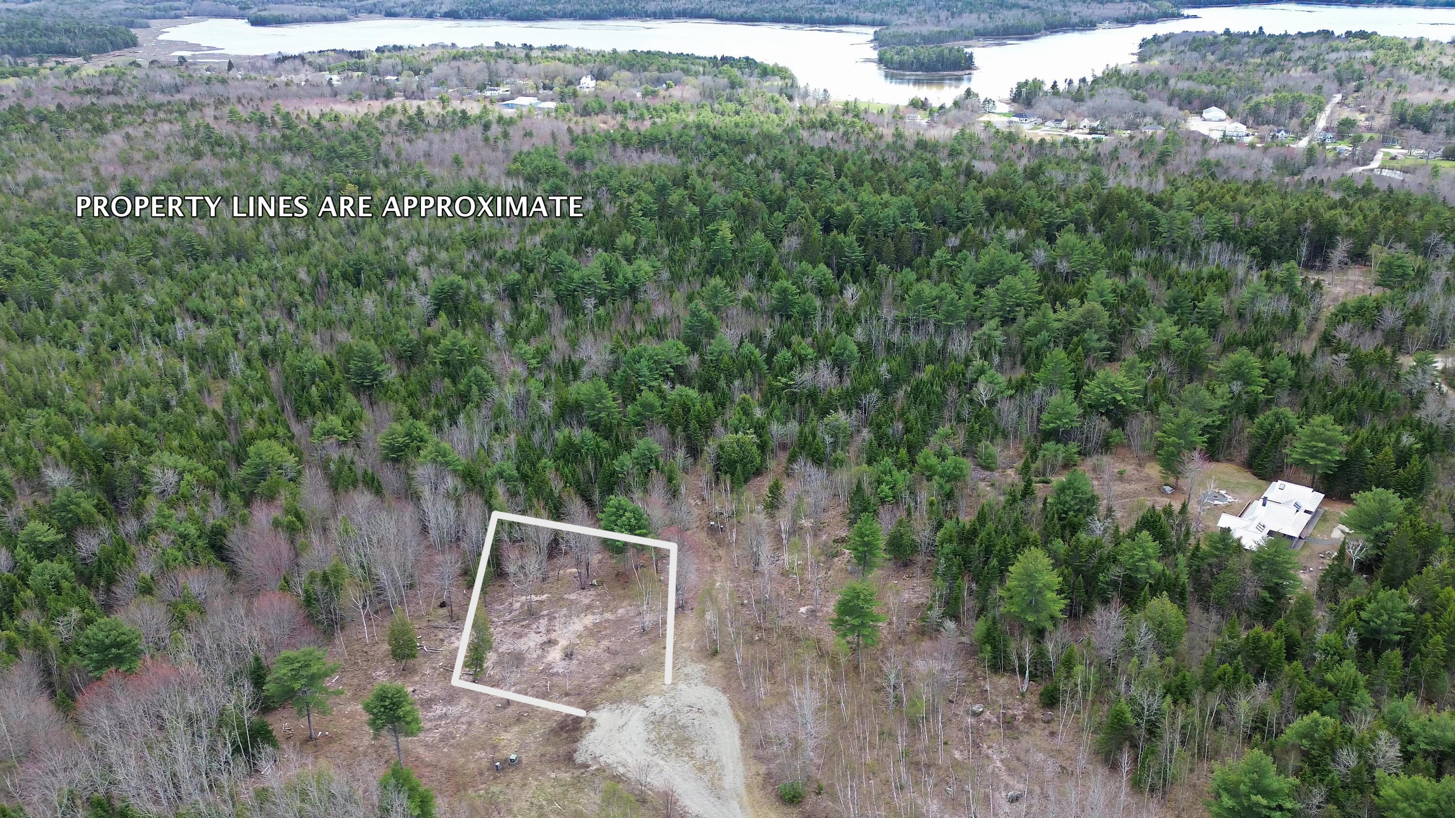 Lot 17 Bailey Mountain Road Franklin ME 04634