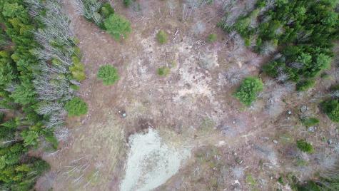 Lot 17 Bailey Mountain Road Franklin ME 04634