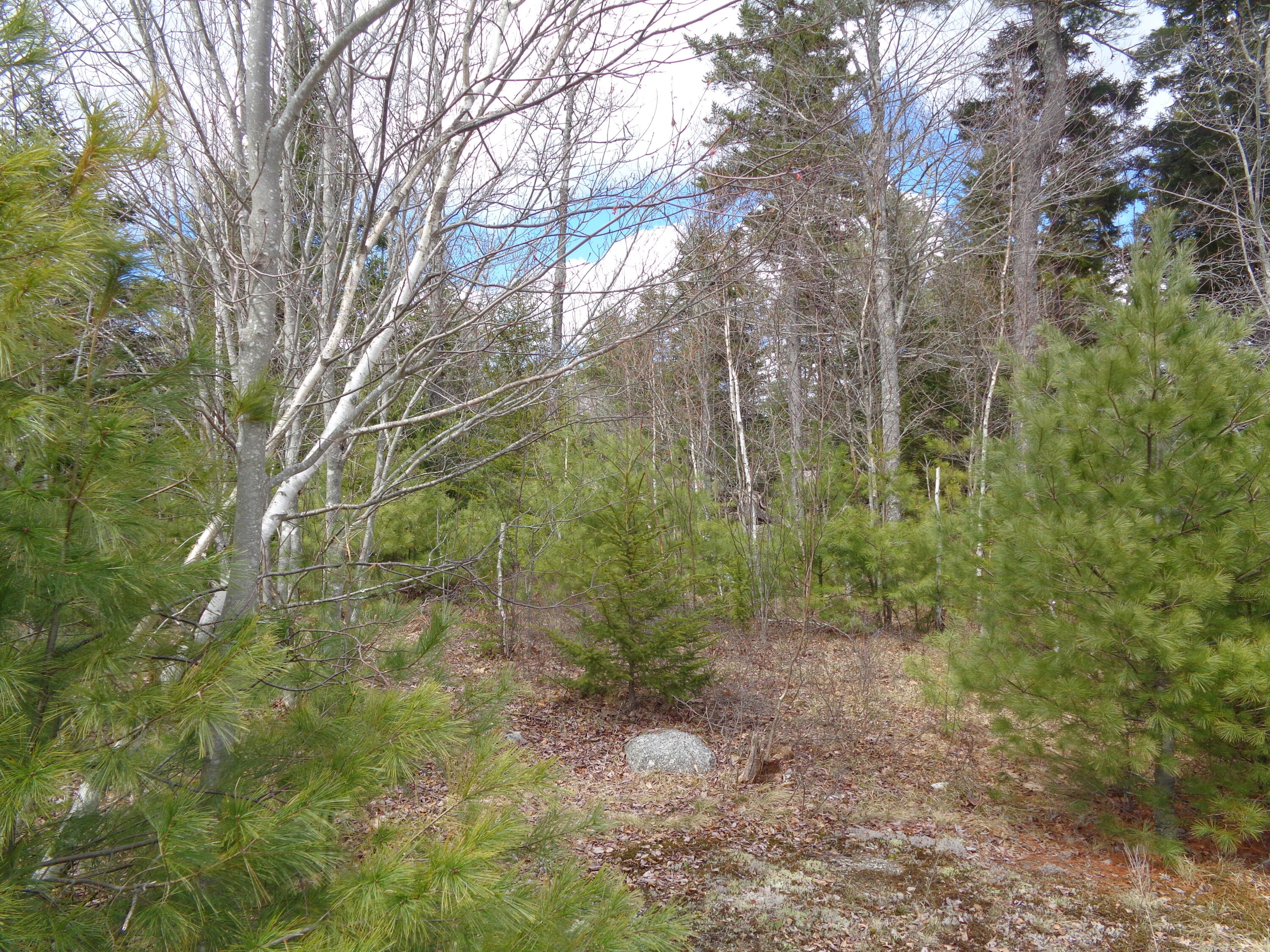 Lot 17 Bailey Mountain Road Franklin ME 04634