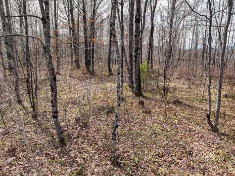 01 Center Hill Road Weld ME 04285