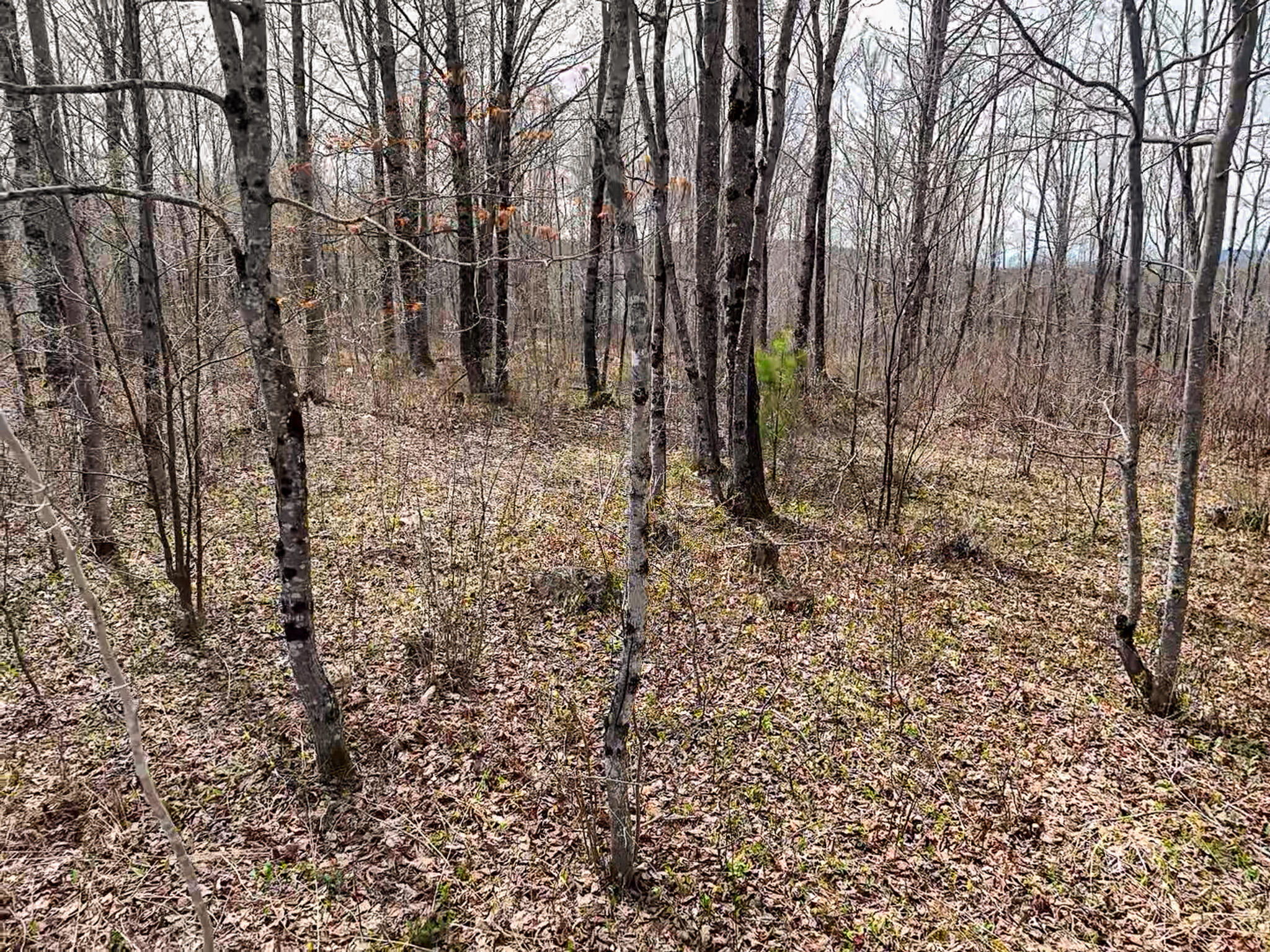 01 Center Hill Road Weld ME 04285