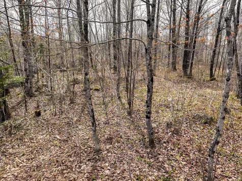 01 Center Hill Road Weld ME 04285