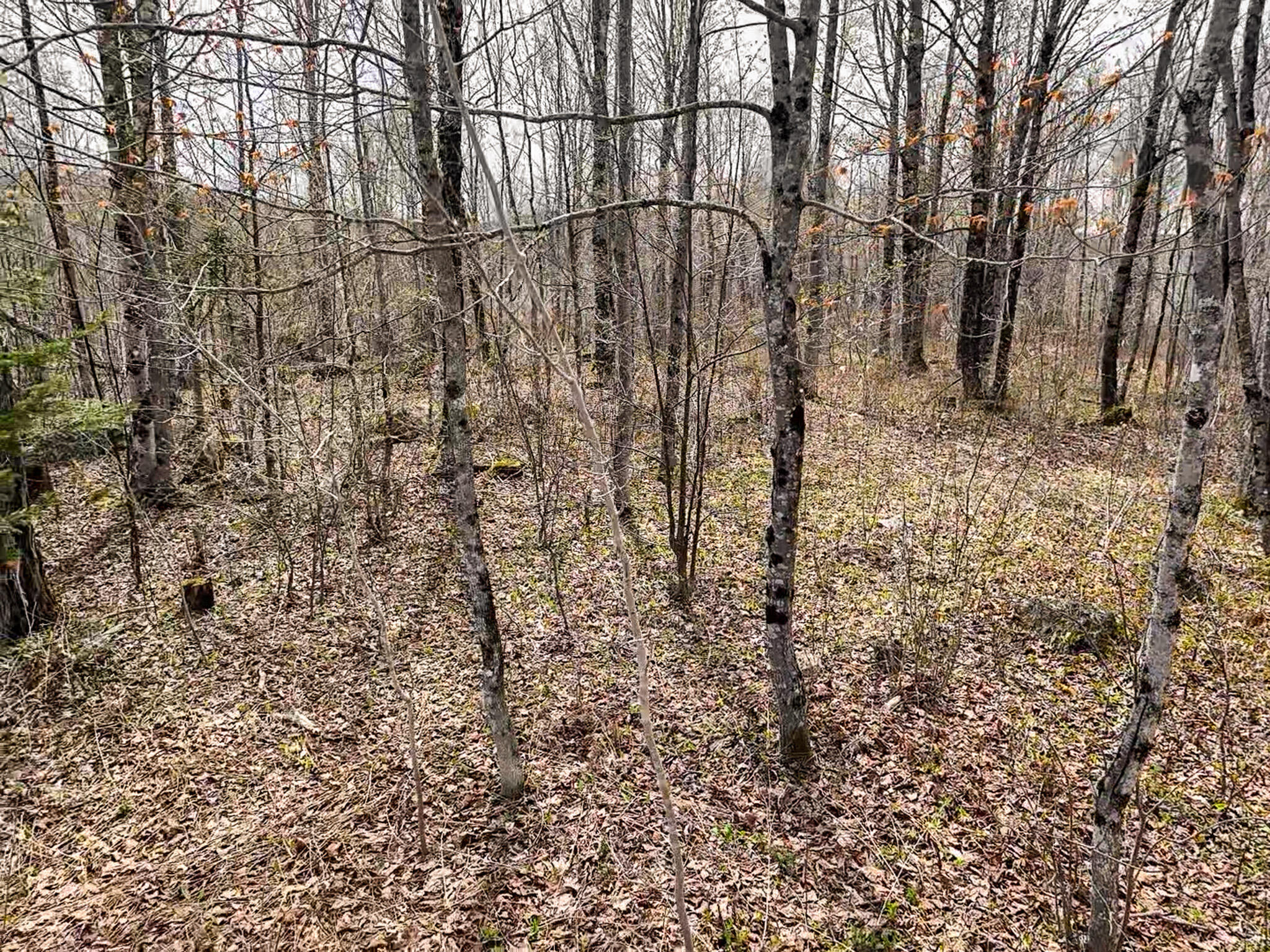 01 Center Hill Road Weld ME 04285