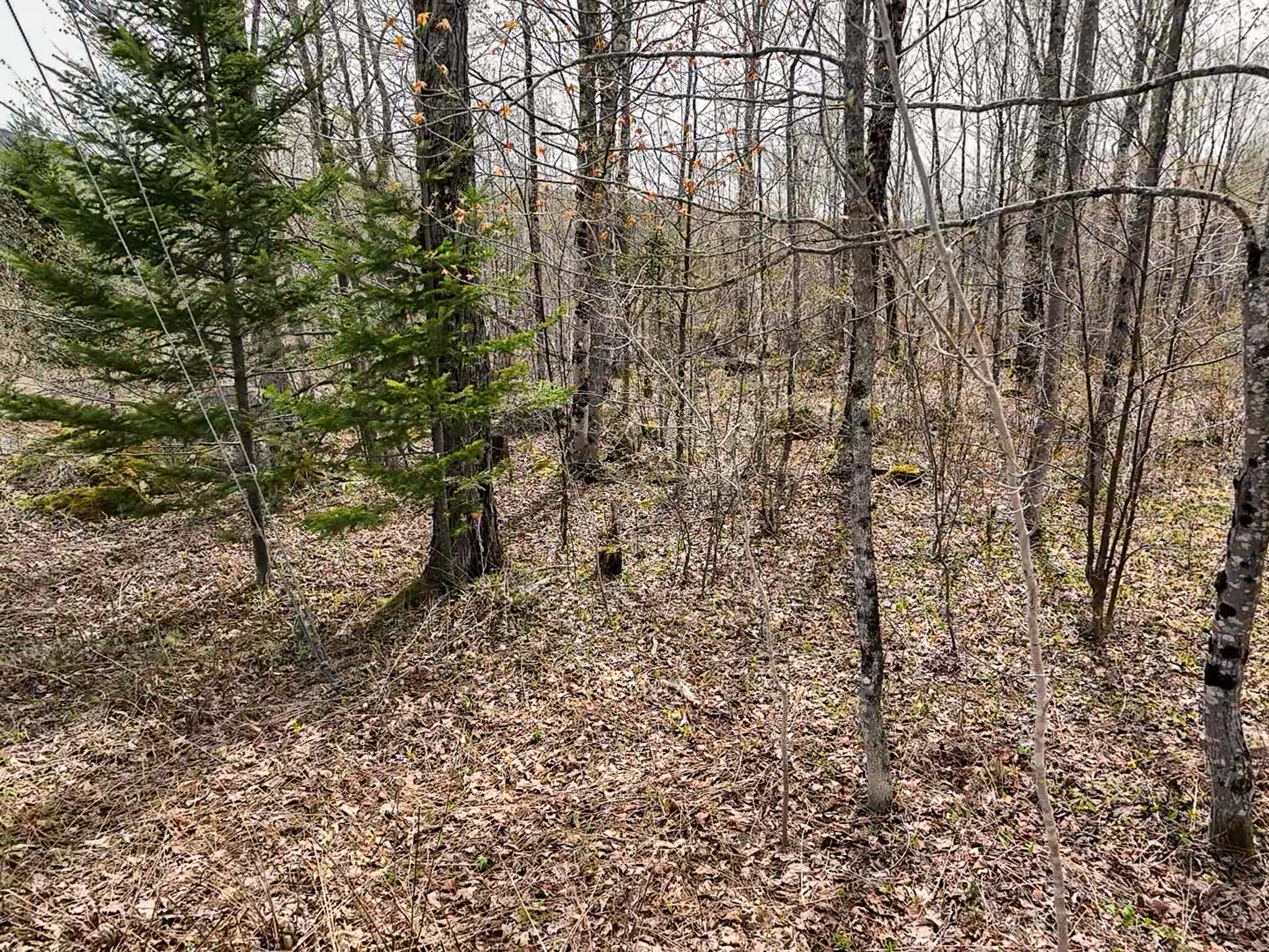 01 Center Hill Road Weld ME 04285