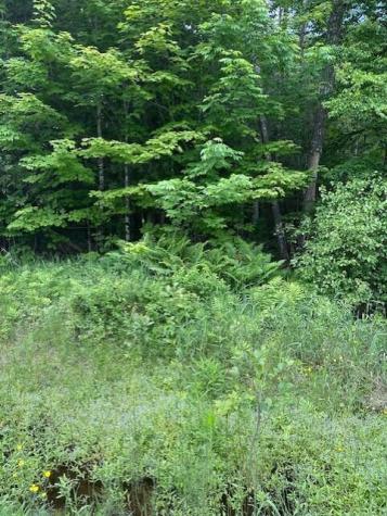 3-3-a Avenue Road Corinth ME 04427