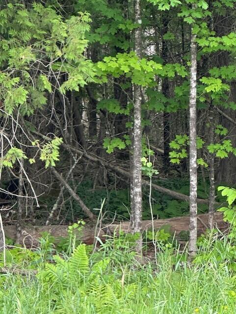 3-3-a Avenue Road Corinth ME 04427