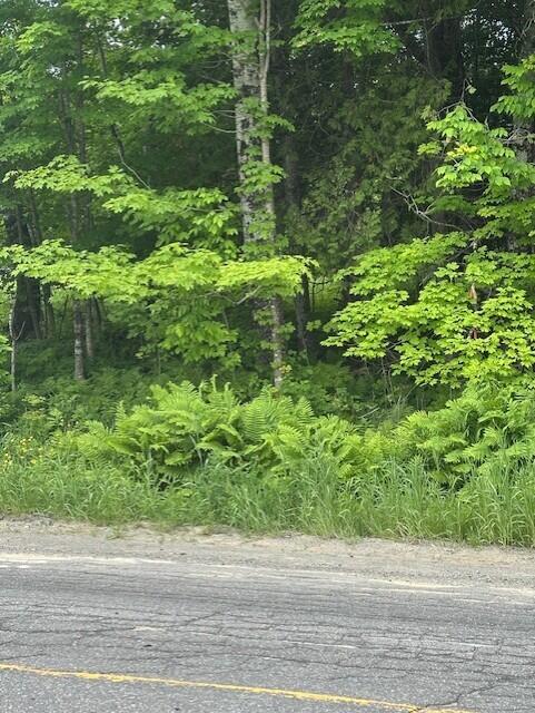 3-3-a Avenue Road Corinth ME 04427