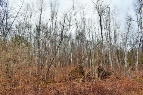 Po72,p090 Cotta Lane & Route 43 Saint Albans ME 04971