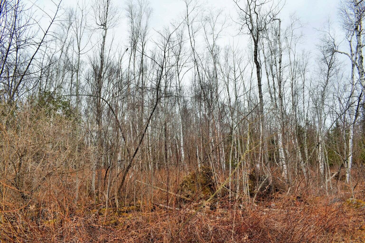 PO72,P090 Cotta Lane & Route 43 Saint Albans ME 04971