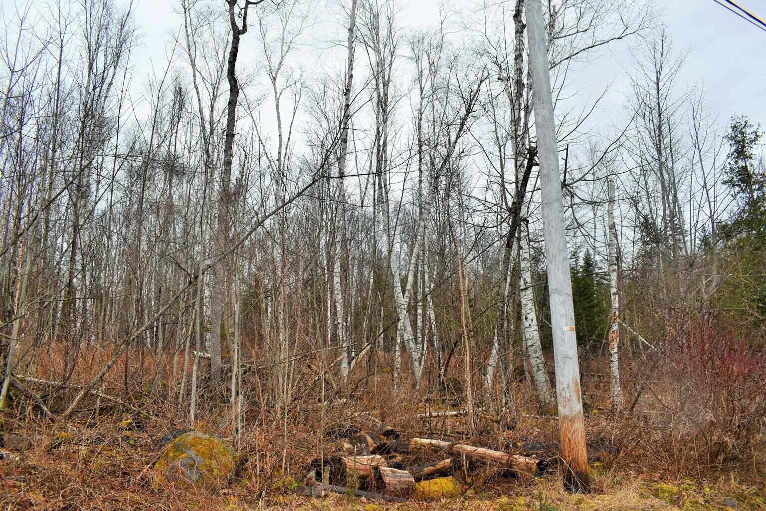 PO72,P090 Cotta Lane & Route 43 Saint Albans ME 04971