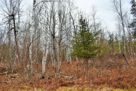 Po72,p090 Cotta Lane & Route 43 Saint Albans ME 04971