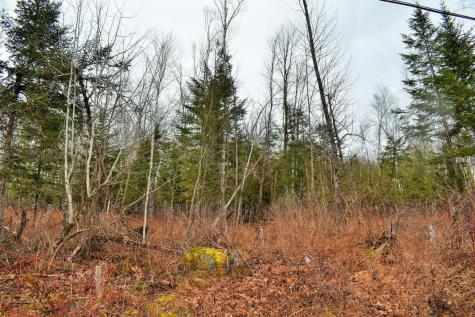 Po72,p090 Cotta Lane & Route 43 Saint Albans ME 04971