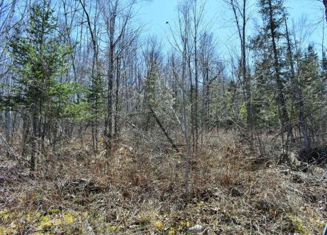 Po72,p090 Cotta Lane & Route 43 Saint Albans ME 04971