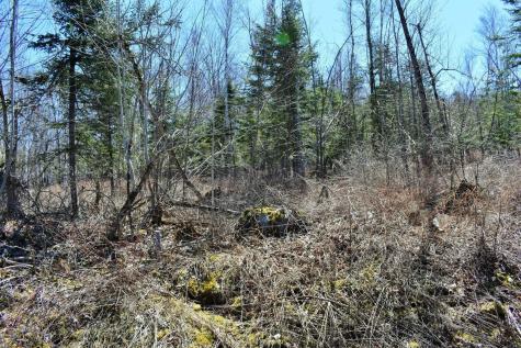 Po72,p090 Cotta Lane & Route 43 Saint Albans ME 04971