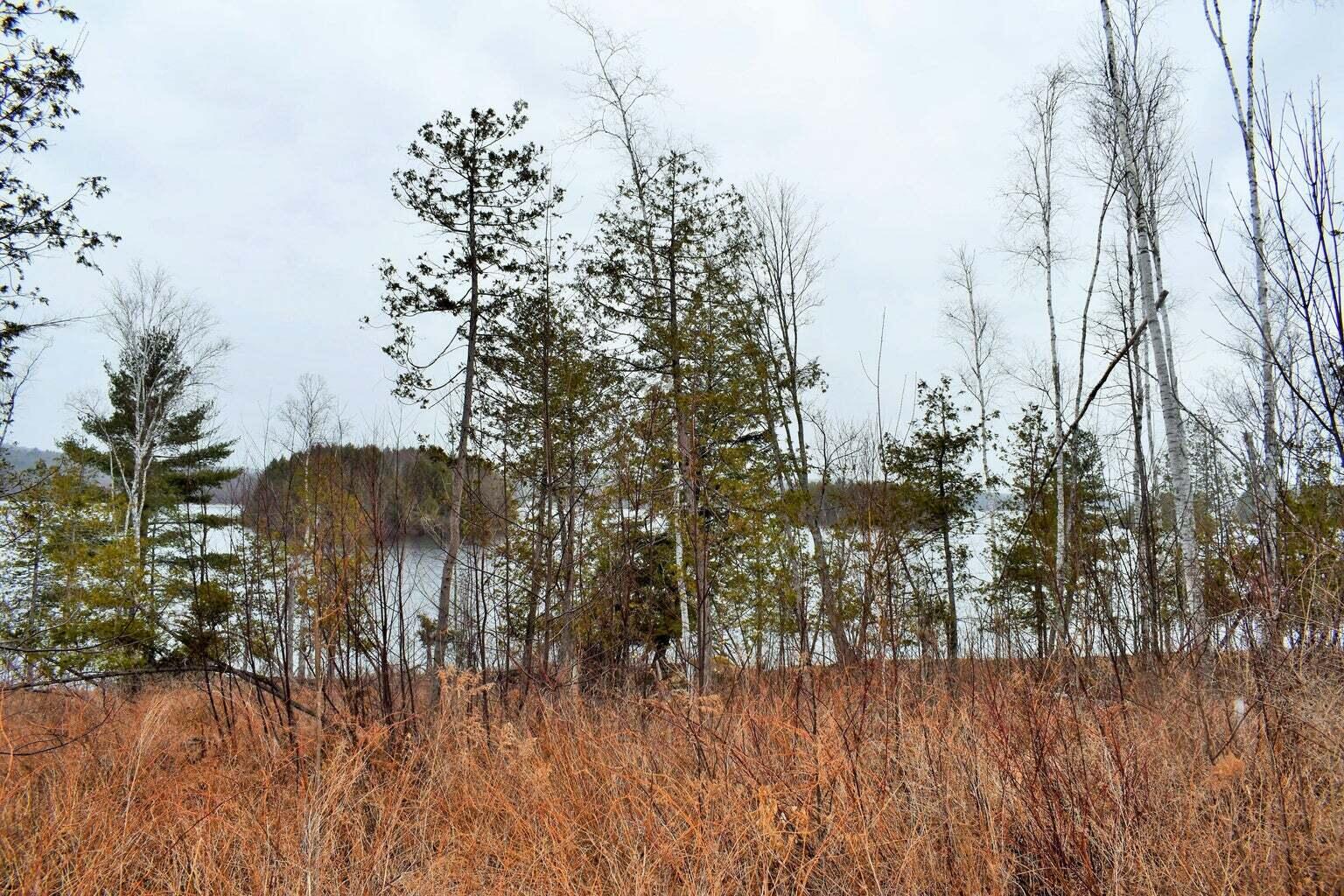 PO72,P090 Cotta Lane & Route 43 Saint Albans ME 04971