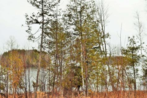 Po72,p090 Cotta Lane & Route 43 Saint Albans ME 04971