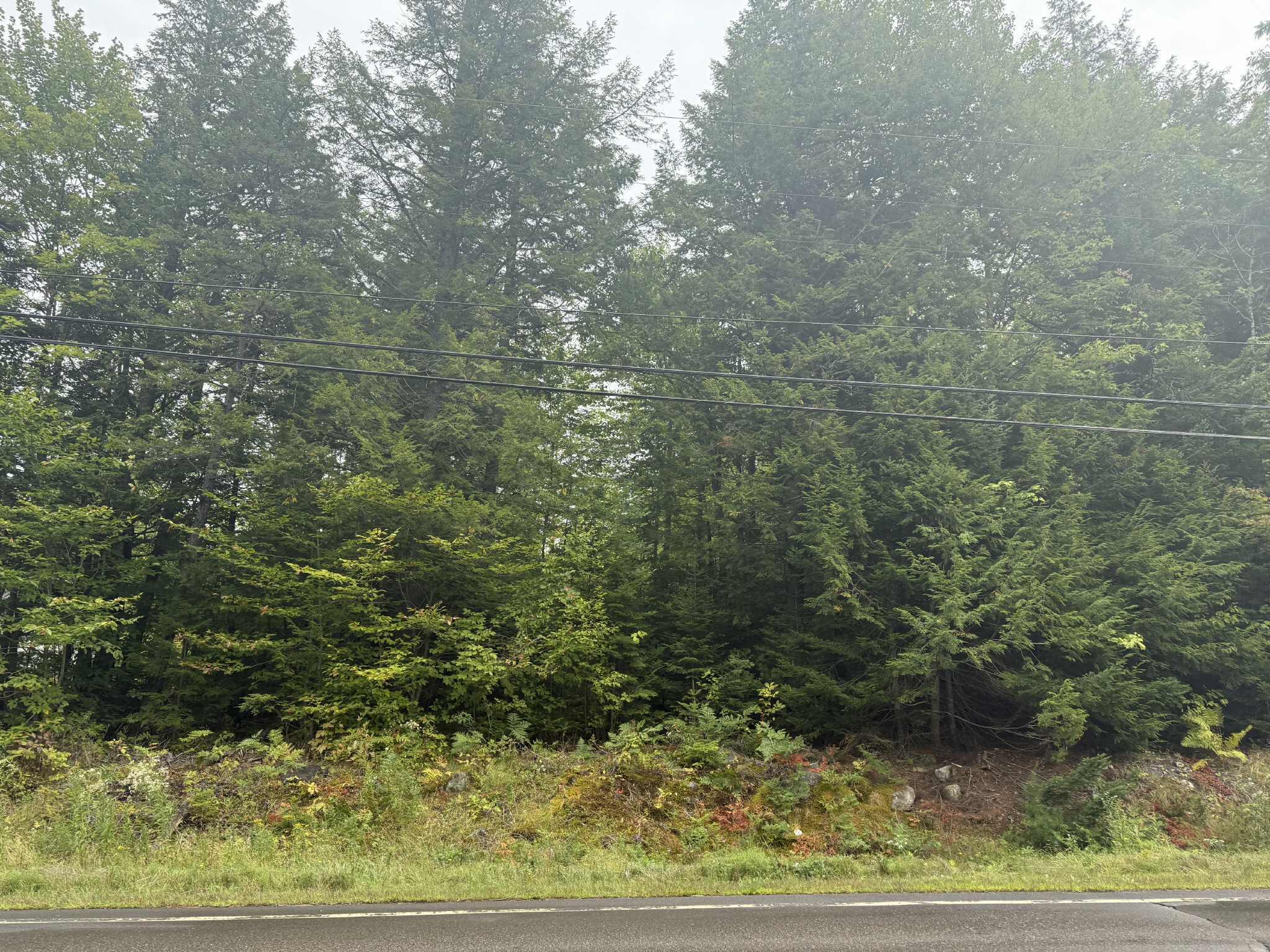 Lot #17A Greeley's Landing Road Dover-foxcroft ME 04426