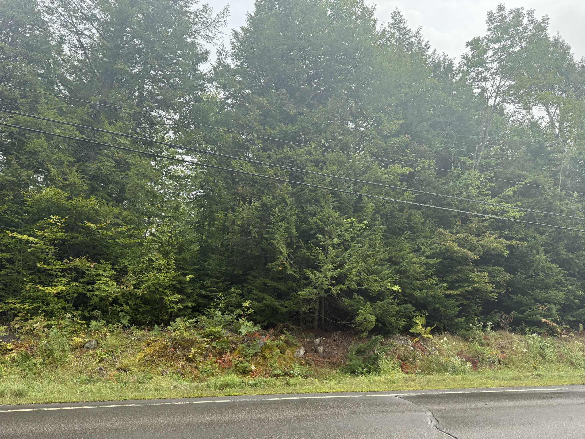 Lot #17A Greeley's Landing Road Dover-foxcroft ME 04426