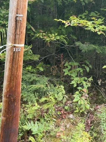 Lot #17A Greeley's Landing Road Dover-foxcroft ME 04426