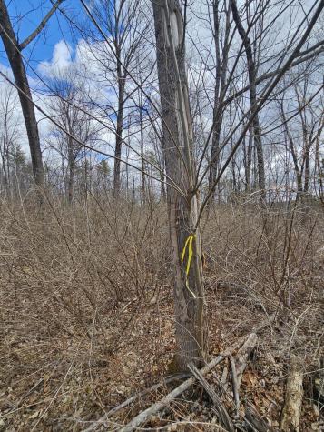 Lot 113-2 Cushman Road Winslow ME 04901