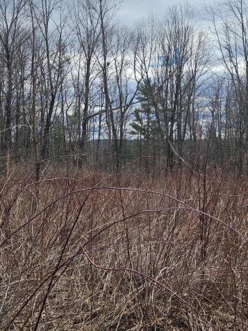 Lot 113-2 Cushman Road Winslow ME 04901