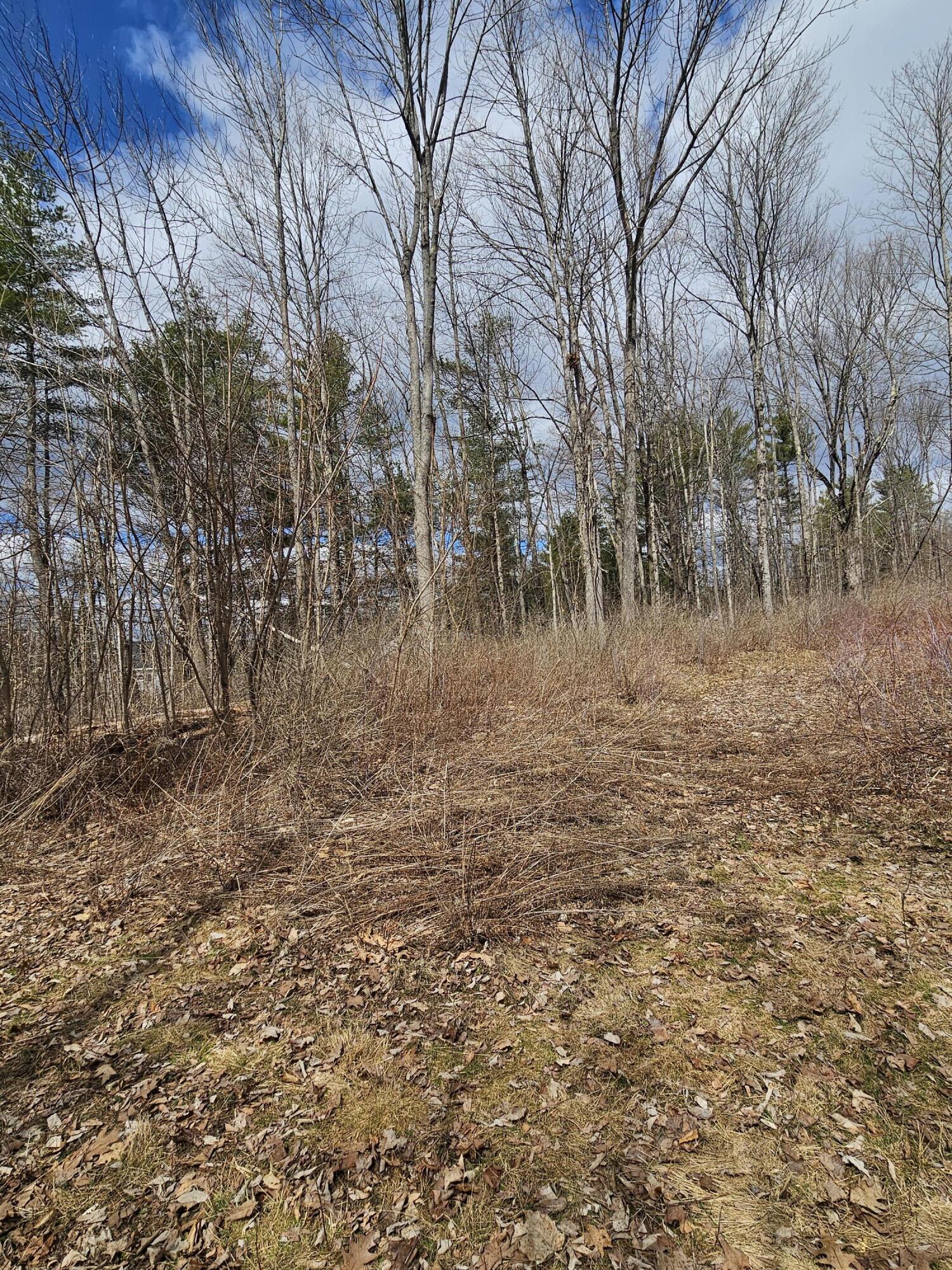 Lot 113-2 Cushman Road Winslow ME 04901