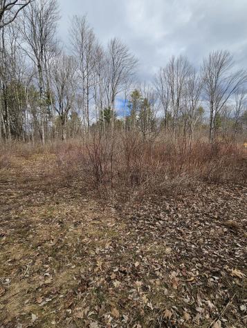 Lot 113-2 Cushman Road Winslow ME 04901