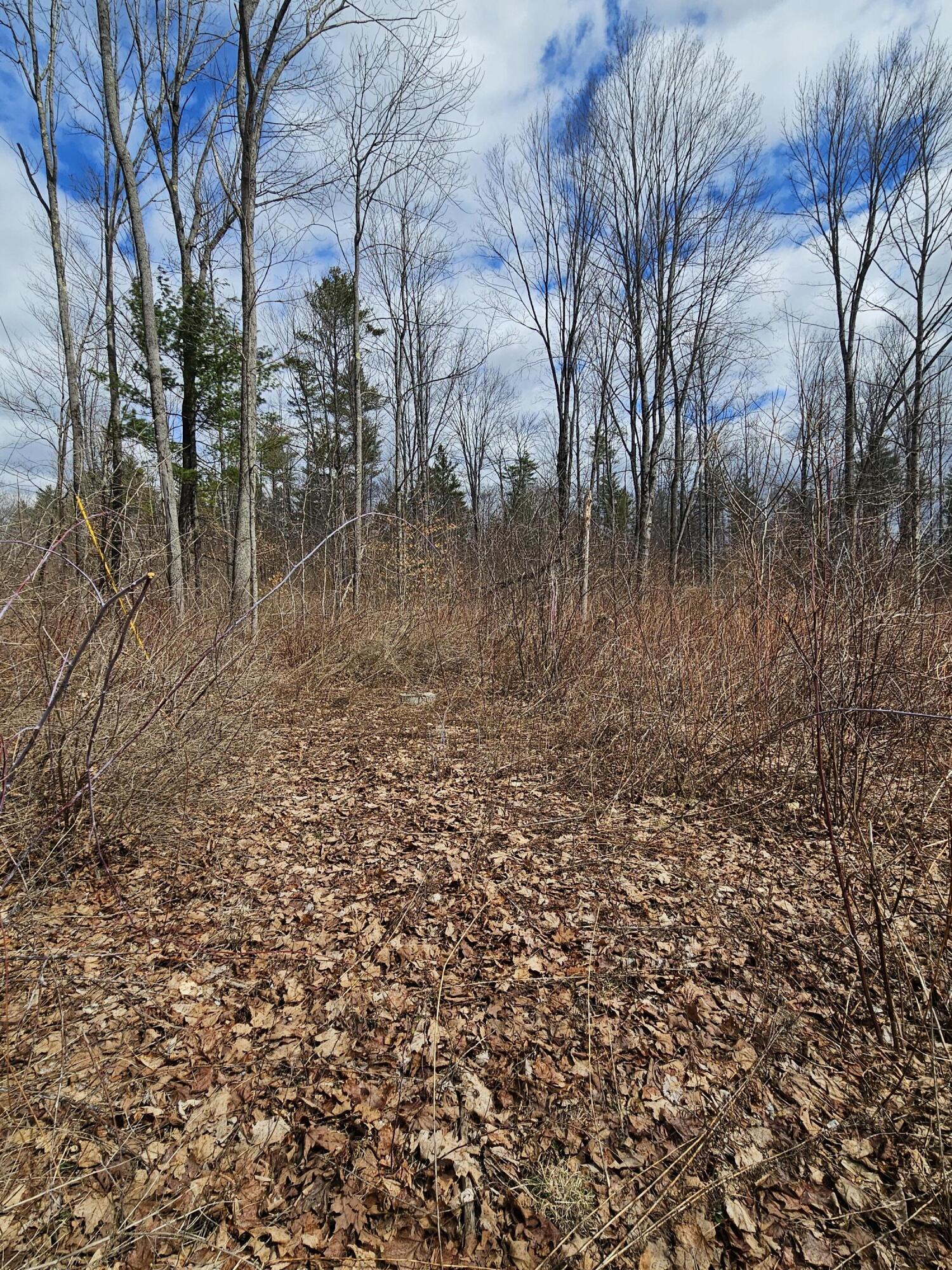Lot 113-2 Cushman Road Winslow ME 04901