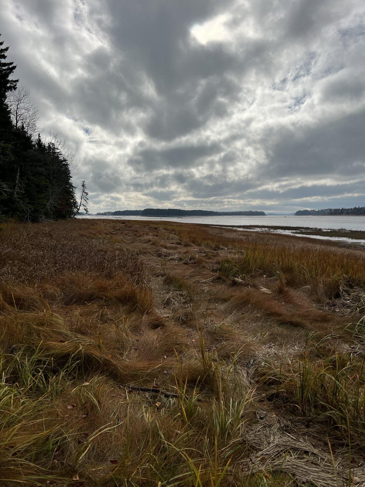 Lot 181 Rays Point Road Milbridge ME 04658