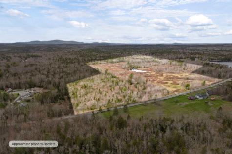 Lot #1A Guzzle Road Gouldsboro ME 04607