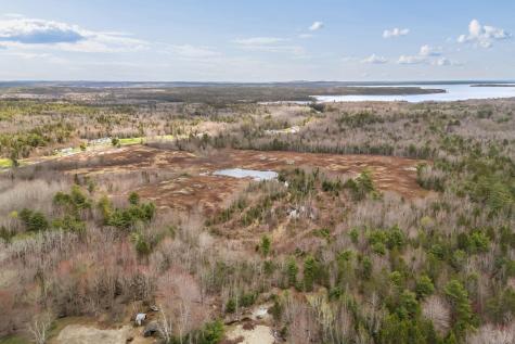 Lot #1A Guzzle Road Gouldsboro ME 04607