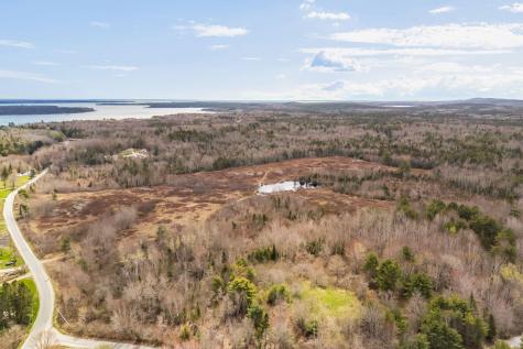 Lot #1A Guzzle Road Gouldsboro ME 04607