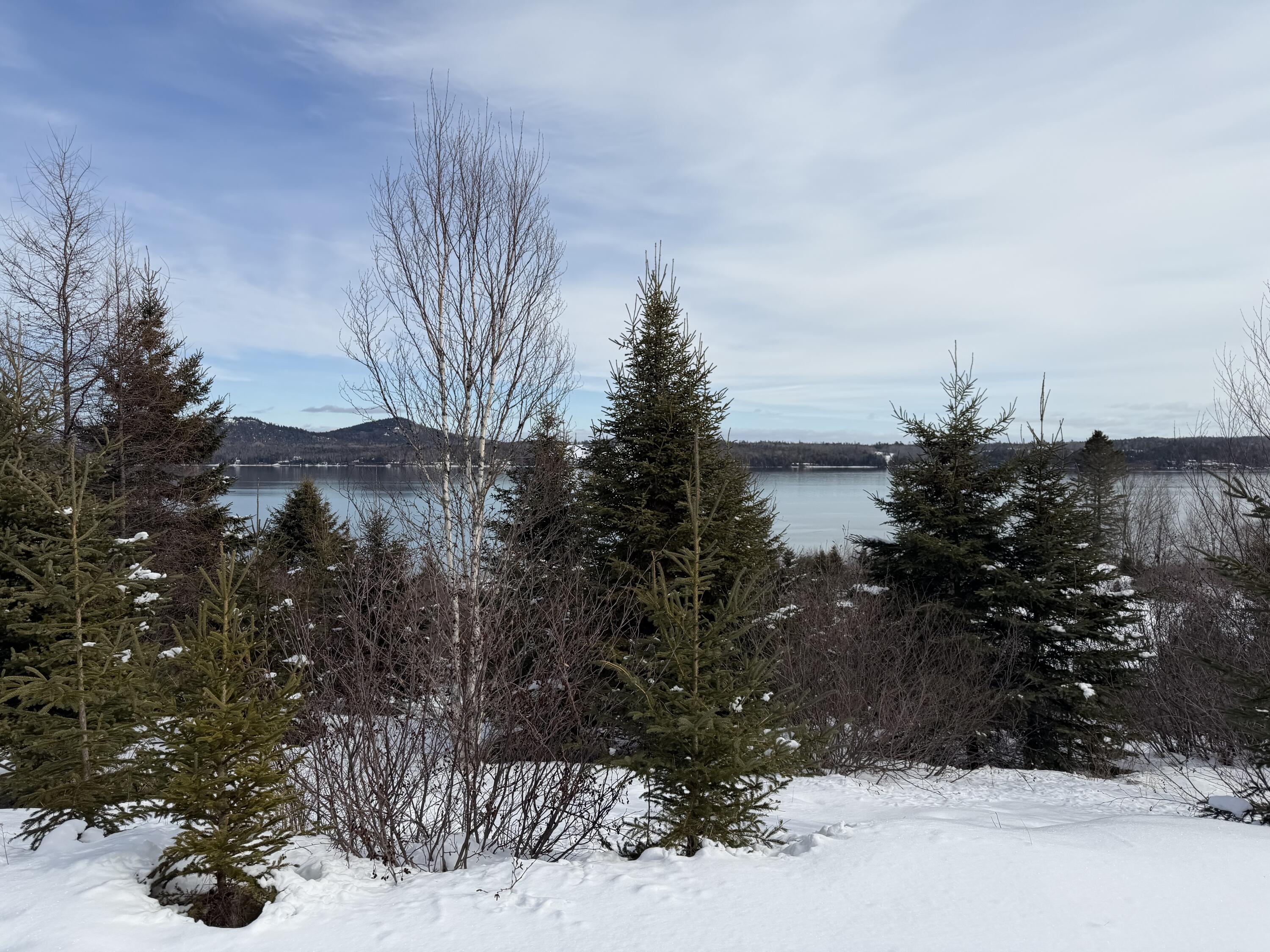 Robbinston ME, M6 L60-65 Gravel Road