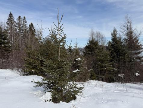 M6 L60-65 Gravel Road Robbinston ME 04671