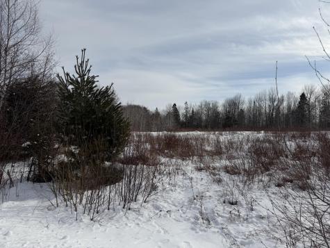 M6 L60-65 Gravel Road Robbinston ME 04671