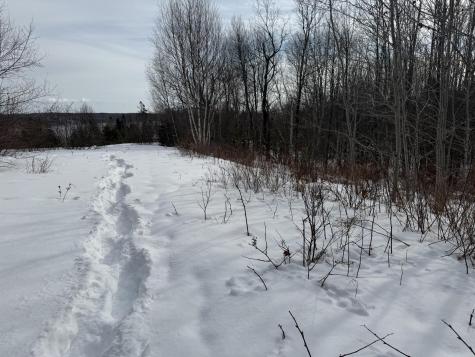 M6 L60-65 Gravel Road Robbinston ME 04671