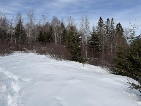 M6 L60-65 Gravel Road Robbinston ME 04671