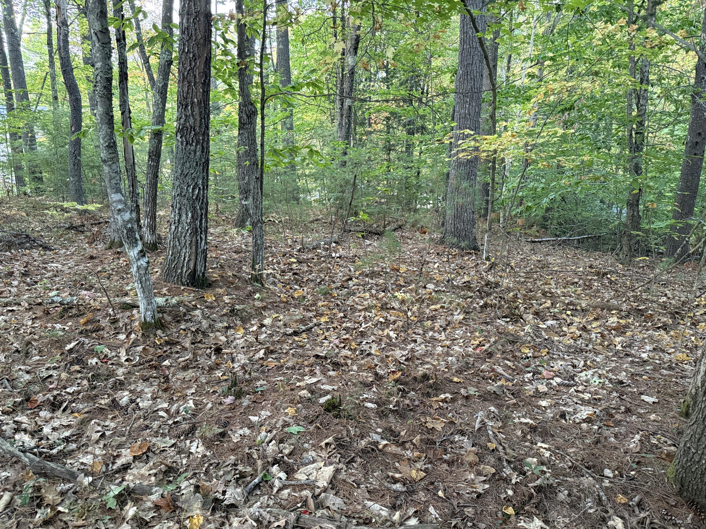 Lot 2093 Sunny Brook Circle Waterboro ME 04061
