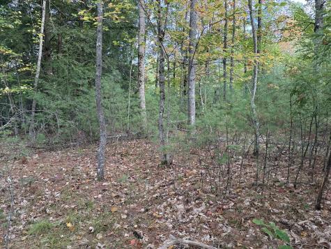 Lot 2093 Sunny Brook Circle Waterboro ME 04061