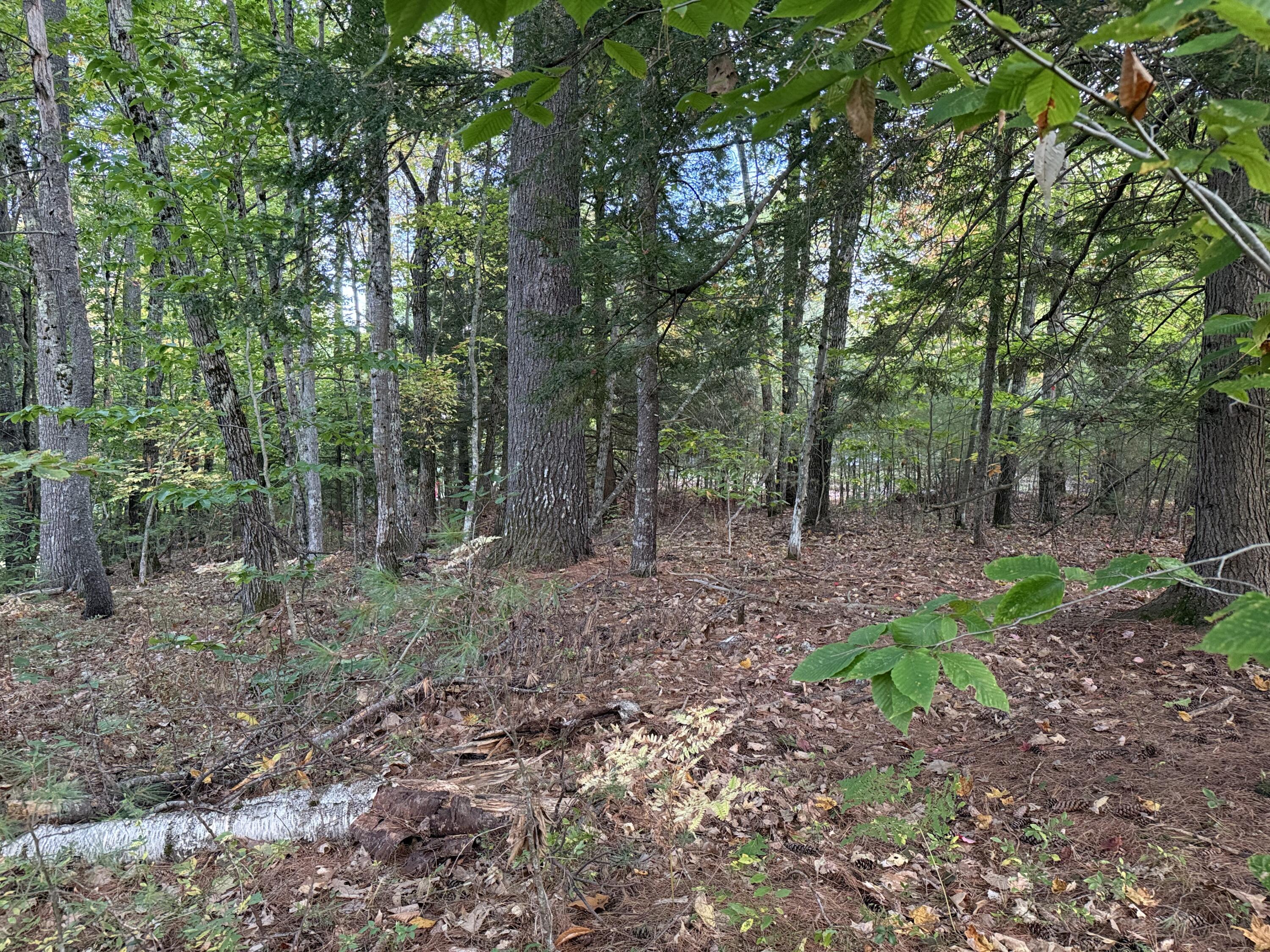 Lot 2093 Sunny Brook Circle Waterboro ME 04061