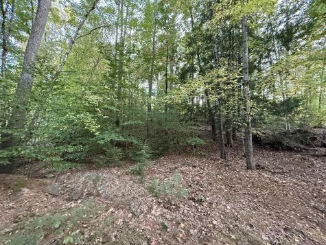 Lot 2093 Sunny Brook Circle Waterboro ME 04061